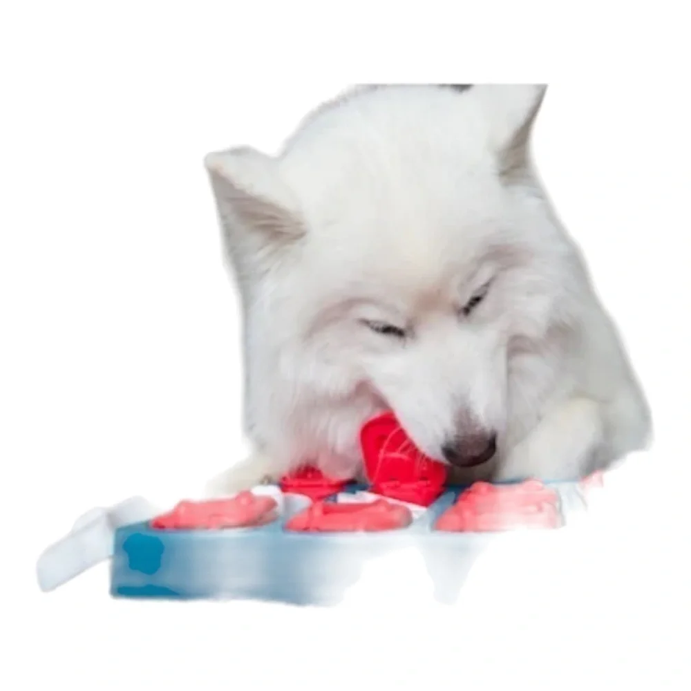 Nina Ottosson Outward Hound Dog Brick Treat Dispensing Puzzle Toy Stimulate